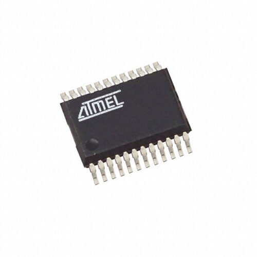 Application Specific Microcontrollers